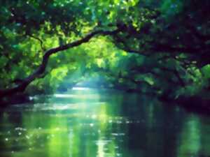 photo Conférence : la forêt et l'eau
