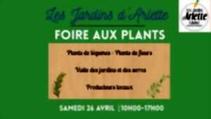 photo Foire aux Plants - Les Jardins d'Arlette