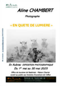 photo EN QUÊTE DE LUMIÈRE