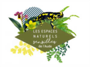 photo ENS - A LA DECOUVERTE DES INSECTES