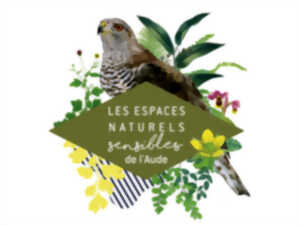 photo ENS - LES OISEAUX DES ETANGS ET SALINS EN PERIODE DE MIGRATION