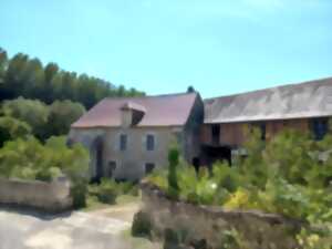 photo Visite de l'ancien moulin de Limeray