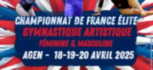 photo Championnat de France élite de gymnastique féminine et masculine