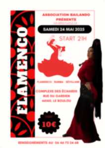 photo SPECTACLE DE FLAMENCO - BAILANDO