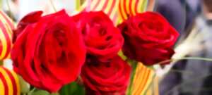 photo FETE DE LA SANT JORDI