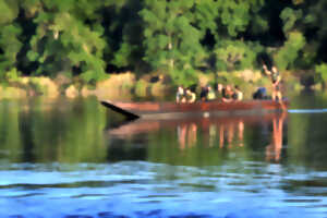 photo En bateau à la rencontre des oiseaux du Bec d'Allier