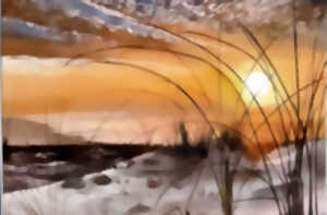 photo Exposition | Bernadette Papin - Peinture