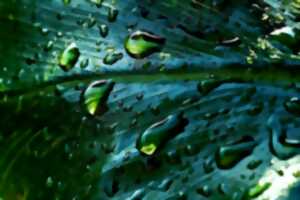 photo Les Journées Nature d'Enéart