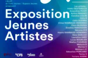 photo Exposition Jeunes Artistes : L’ALEP et l’Info Jeunes / Espace Jeunes