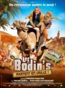 photo Les Bodins partent en vrille : cinéma à Vasles