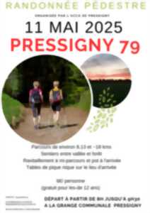 photo Randonnée pédestre - Pressigny