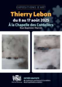 photo Exposition d'art : Thierry Lebon