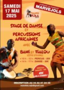 photo STAGE DE DANSE ET PERCUSSIONS AFRICAINES
