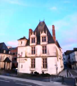 photo Chasse au trésor nocturne à Amboise - pour les adolescents et leurs familles