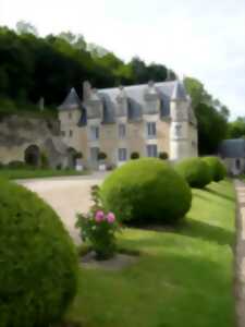 photo Patrimoine à savourer dans le parc du château de la Côte à Reugny