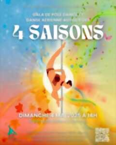 photo Championnat de France pole (dance ) sport FFD et Gala Off Pole Studio