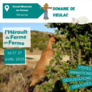 photo DE FERME EN FERME DOMAINE DE VIEULAC