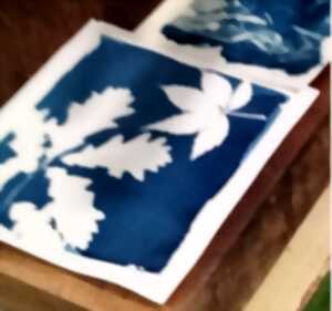 photo ATELIER CYANOTYPE