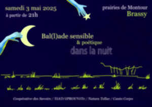 photo Ballade sensible et poétique dans la nuit