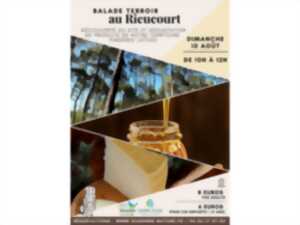 photo Balade terroir