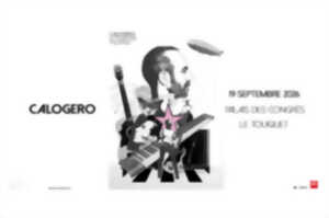 photo Calogero en concert