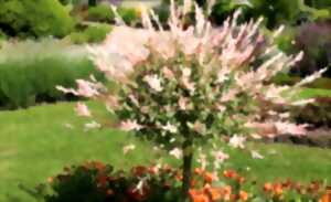 photo Exposition ‘Mémoire de Jardins’