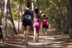 photo Norelem Run Beach