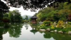photo Dendrologue en herbe