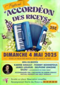 photo Festival d'accordéon