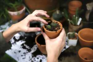 photo Echange de plantes