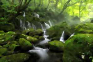 photo Fête de la nature : L'eau du moyen-âge à aujourd'hui