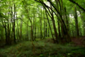 photo Aventure Nature