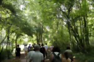 photo FÊTE DE LA NATURE AU MUSÉE
