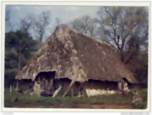 photo Anciennes Bergeries des Landes