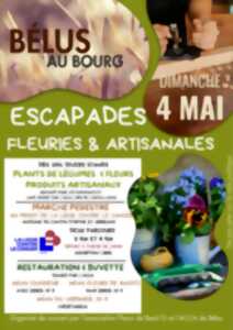 photo Escapades Fleuries et Artisanales