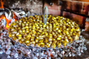 photo Repas escargolade