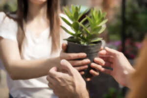 photo Troc aux plantes