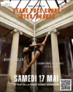 photo ART'CORPS SERIGNAN STAGE POLE CHORE