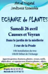 photo ÉCHANGE DE PLANTES
