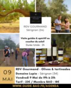 photo LES RDV GOURMANDS AU DOMAINE LUPIA