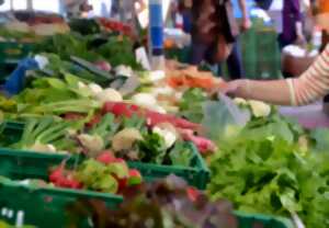 photo Marché des producteurs locaux
