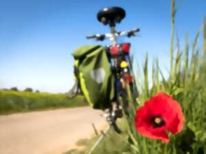 photo Balade familiale à vélo avec un artiste-aventurier