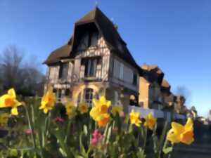 photo Fête du printemps