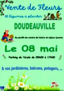 photo Ventes de fleurs et légumes à planter à Doudeauville