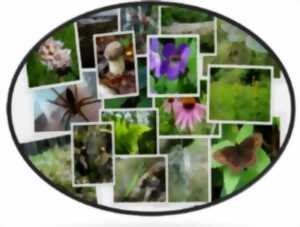 photo Lecture du paysage