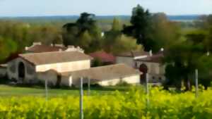 photo Château L'Escarderie - 