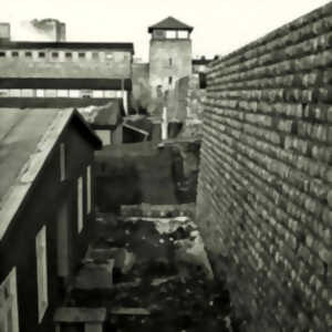 photo EXPOSITION : LA PART VISIBLE DES CAMPS