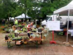 photo Bourse aux Plantes de Kaltenhouse