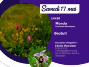 photo Sortie nature