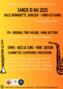 photo Concert Becs et Toms